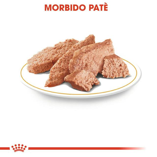 12x85g Royal Canin Barboncino Poodle - Cibo Umido per Cani 12x85g Royal Canin Barboncino Poodle - Cibo Umido per Cani